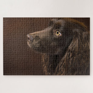 Puzzle Chien Brown