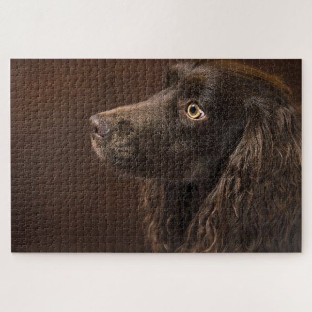 Puzzle Chien Brown (Horizontal)