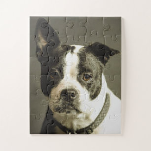 PUZZLE CHIEN, CHIEN NOIR ET BLANC