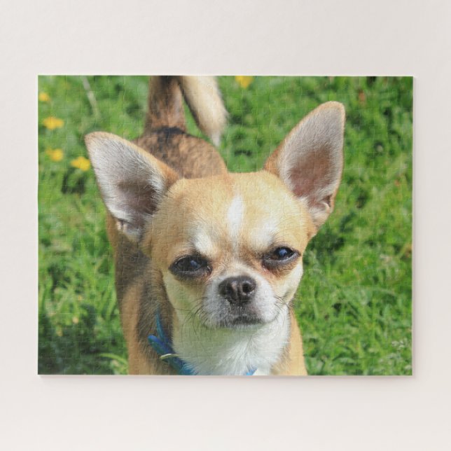 Puzzle Chien chihuahua minuscule (Horizontal)
