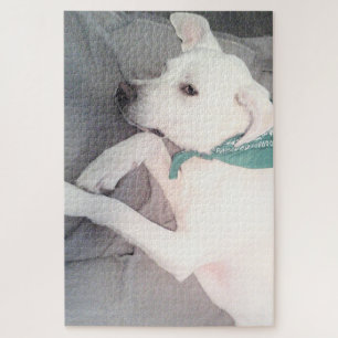 Puzzle Chien chiot doux portant une écaille verte