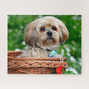 Puzzle Chien chiot Lhassa Apso dans un panier