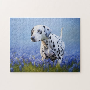 Puzzle Chien dalmate