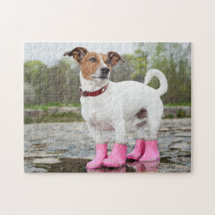 Puzzle Chien Dans La Pluie