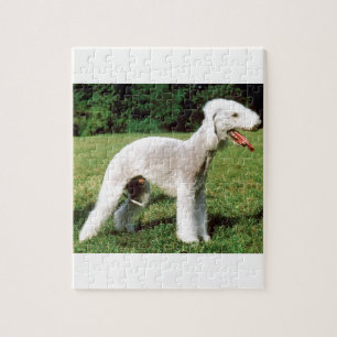 Puzzle Chien de Bedlington Terrier