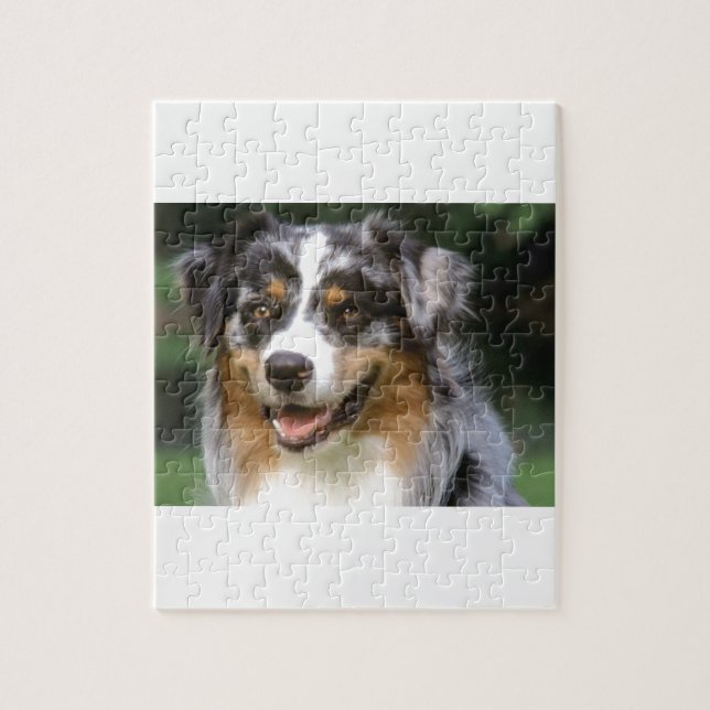 Puzzle Chien de berger australien (Vertical)