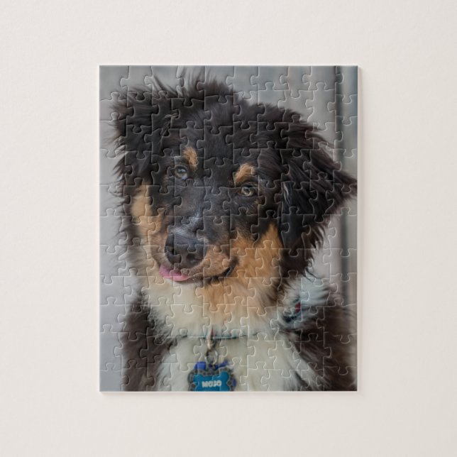 Puzzle Chien de berger australien (Vertical)
