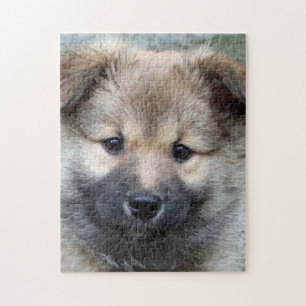 Puzzle Chien de berger islandais 2014-0803