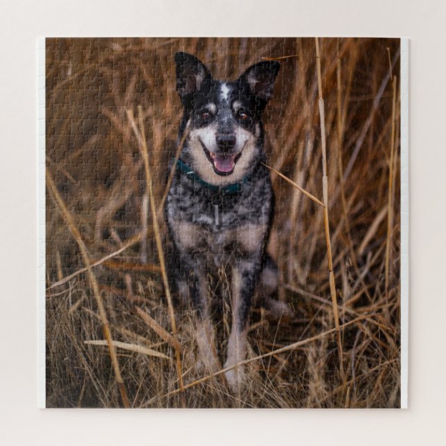 Puzzle Chien de bétail australien Heeler (Vertical)