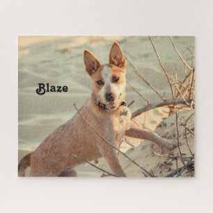 Puzzle Chien de bétail australien rouge - Heeler - dans 