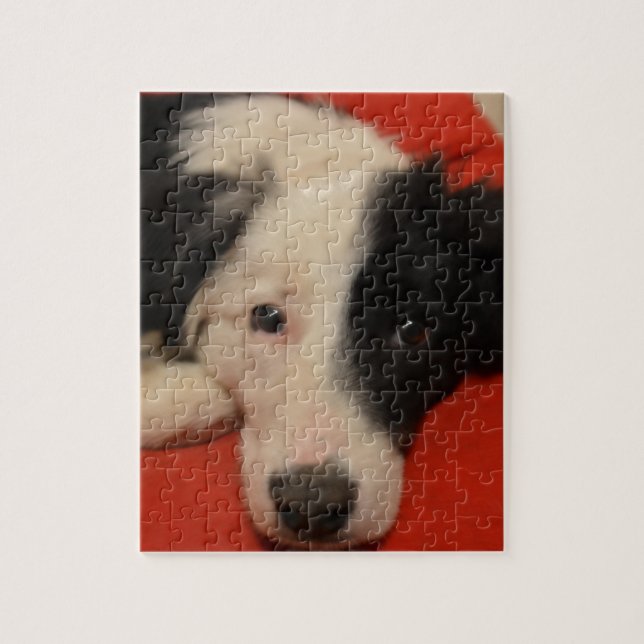 Puzzle chien de border collie (Vertical)
