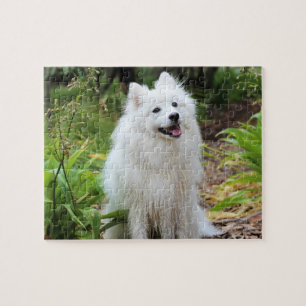 Puzzle Chien de chiot blanc éclatant
