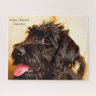 Puzzle Chien de Labradoodle.