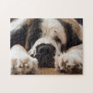 Puzzle Chien de Lazy Saint Bernard