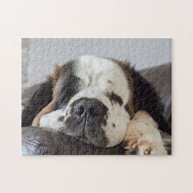 Puzzle Chien de Lazy Saint Bernard (Horizontal)