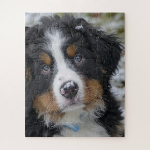 Puzzle Chien de Montagne Bernese Chien Chien Chien Second