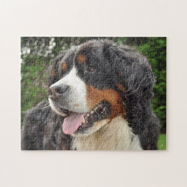 Puzzle Chien de montagne bernois. (Horizontal)