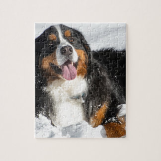 Puzzle Chien de montagne de Bernese heureux dans la neige