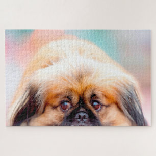 Puzzle Chien de Pékin.