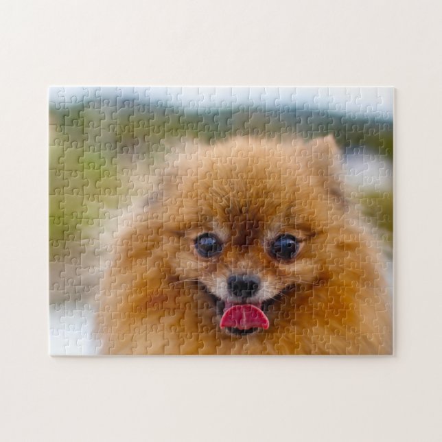 Puzzle Chien de Poméranie. (Horizontal)