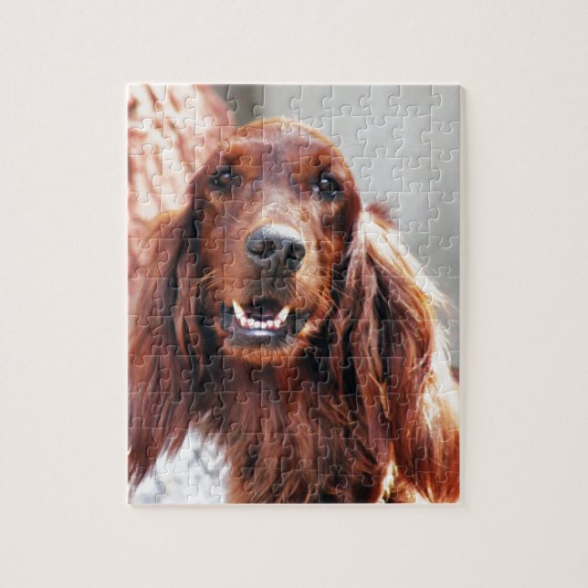 Puzzle Chien de poseur irlandais (Vertical)