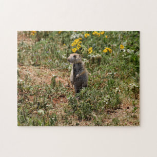 Puzzle Chien de Prairie