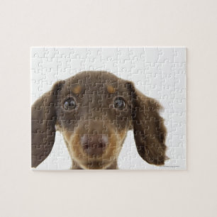 Puzzle Chien de saucisse (brun) 2
