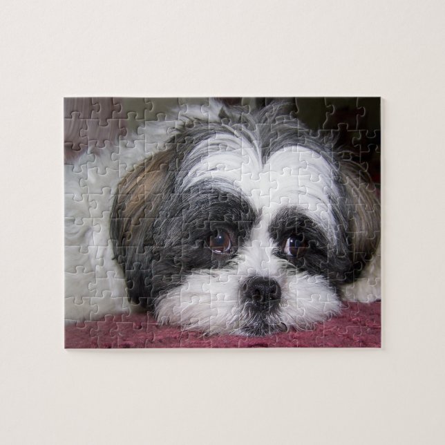 Puzzle Chien de Shih Tzu (Horizontal)