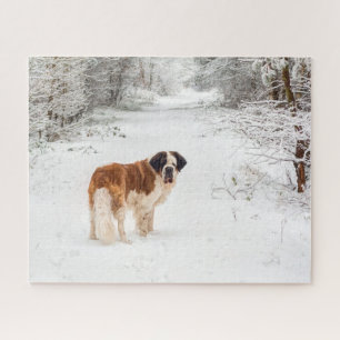 Puzzle Chien de St Bernard dans la neige
