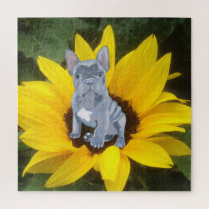 Puzzle Chien de taureau bleu gris français Chien et tourn