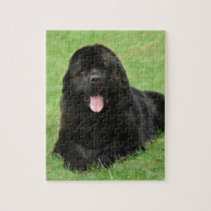 Puzzle Chien de Terre