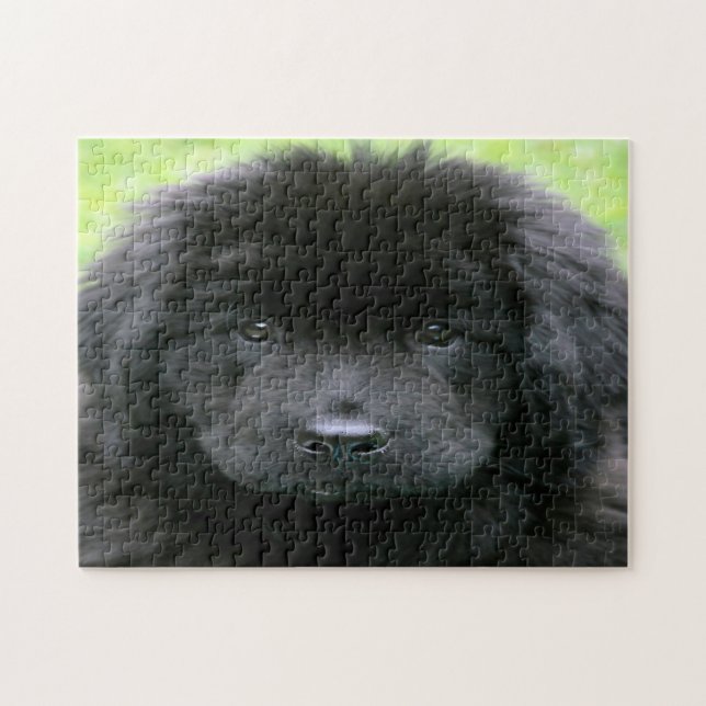 Puzzle Chien de Terre-Neuve. (Horizontal)