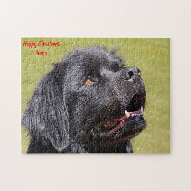 Puzzle Chien de Terre-Neuve. (Horizontal)