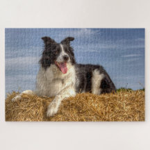 Chien d'élevage sur Hay Bale 1014 Piece Jigsaw Puz
