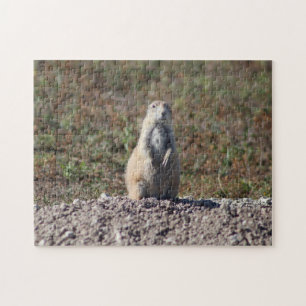 Puzzle Chien des Prairies dans le parc national Badlands,