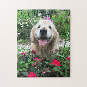 Puzzle Chien doré souriant parmi les fleurs rouges