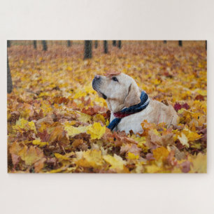 Puzzle Chien du Labrador mignon dans les feuilles d'autom