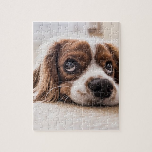 Puzzle Chien Espagnol Coqueur Triste (Vertical)