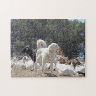 Puzzle - Chien et chèvres de garde