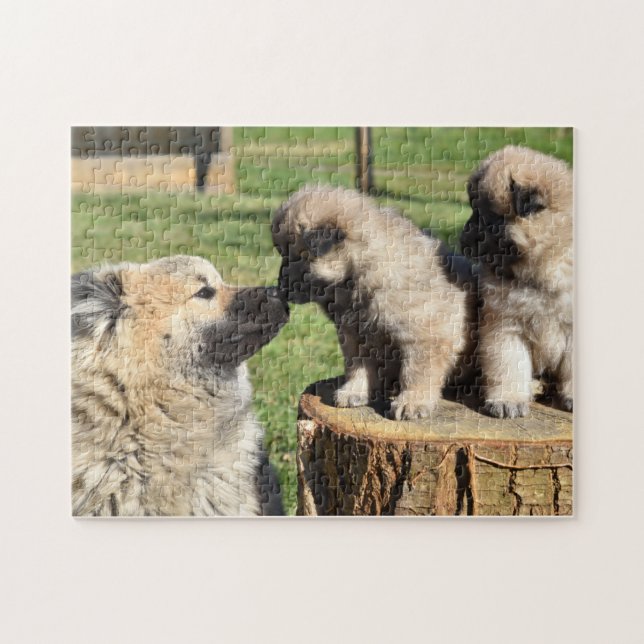 Puzzle Chien et chiots Eurasier (Horizontal)