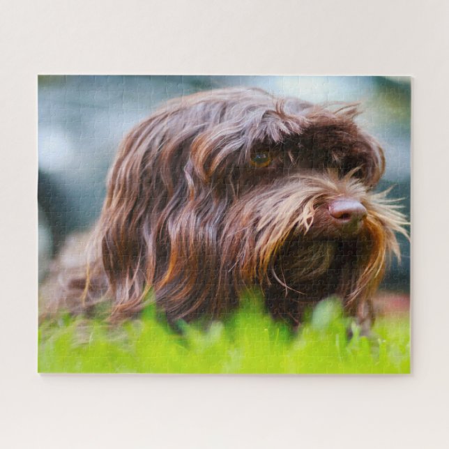 Puzzle Chien Havanais. (Horizontal)