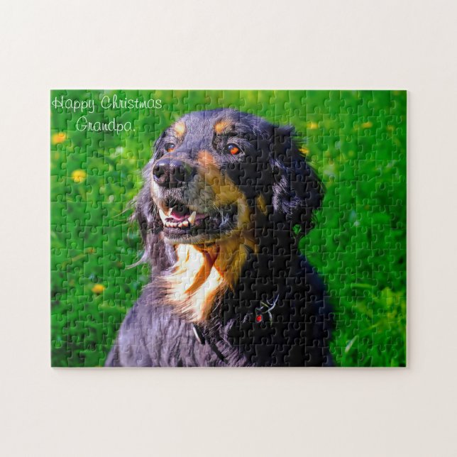 Puzzle Chien Hovawart. (Horizontal)