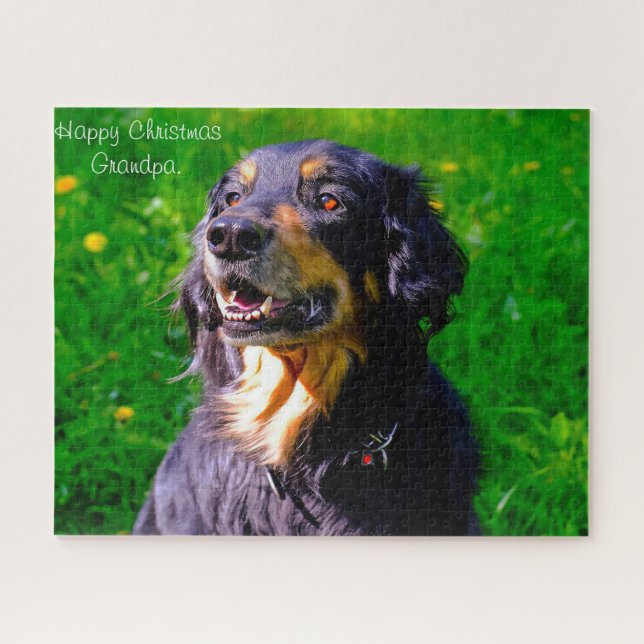 Puzzle Chien Hovawart. (Horizontal)