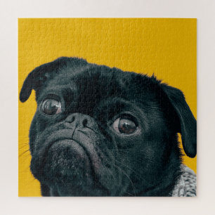 Puzzle chien jaune