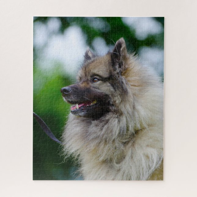 Puzzle Chien Keeshond. (Vertical)