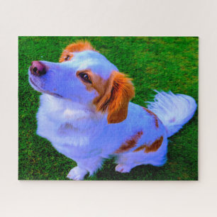 Puzzle Chien Kokoni.