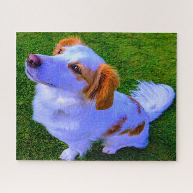 Puzzle Chien Kokoni. (Horizontal)