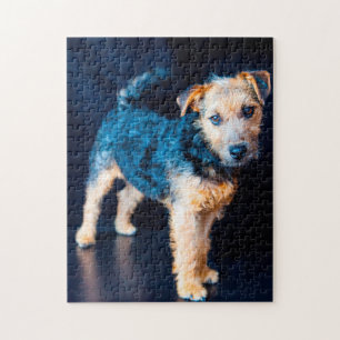 Puzzle Chien Lakeland Terrier.