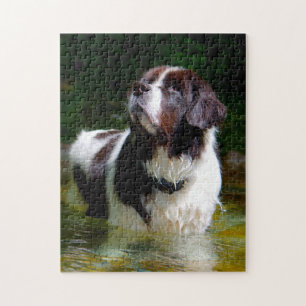 Puzzle Chien Landseer.