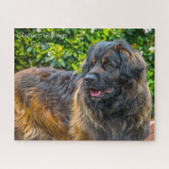 Puzzle Chien Leonberger. (Horizontal)